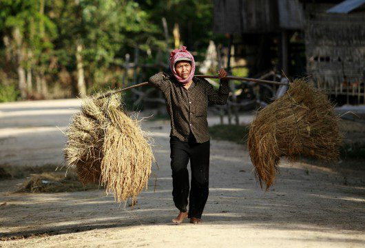 Changes to Food for Peace to Increase Sustainability