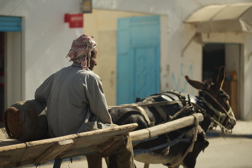 Charities Operating in Tunisia