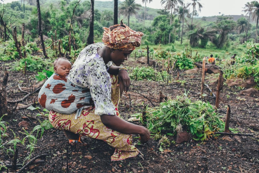 Maternal and Child Health