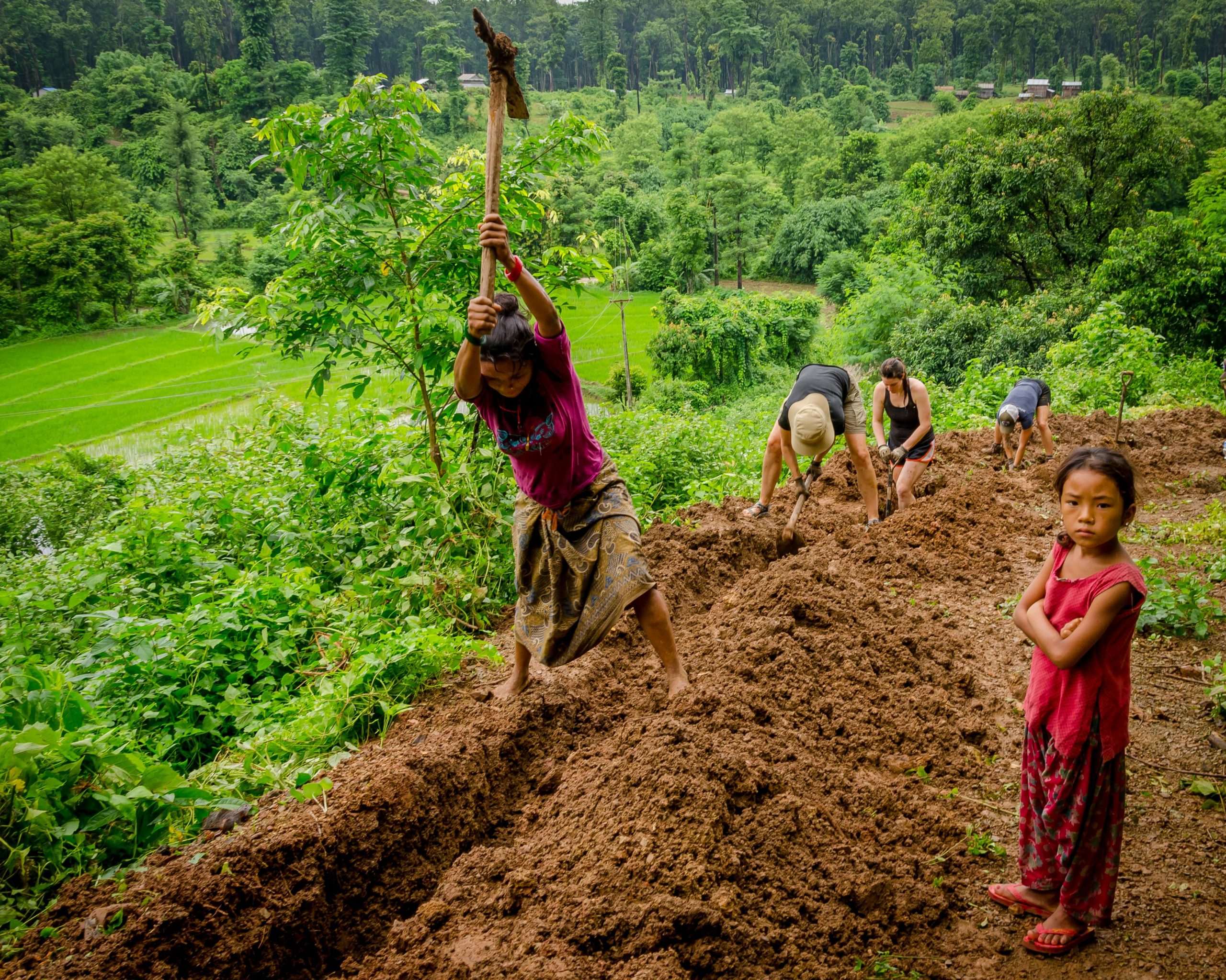 Child Labor in Agriculture