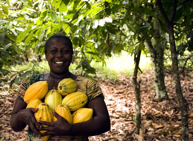 Child Labor in the Cocoa Industry