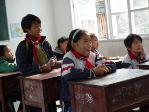 China Foundation for Rural Development
