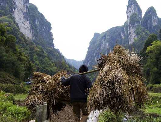 eradicate_poverty_in_china