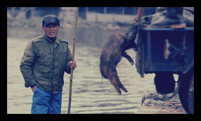China_World_Water_Day_Contamination