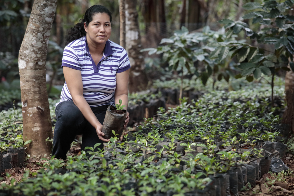 Climate-Driven Poverty in Central America 