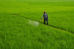 Climate-Smart Farming
