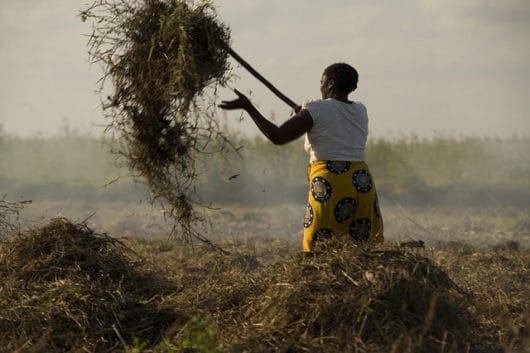 Climate Resilience Project