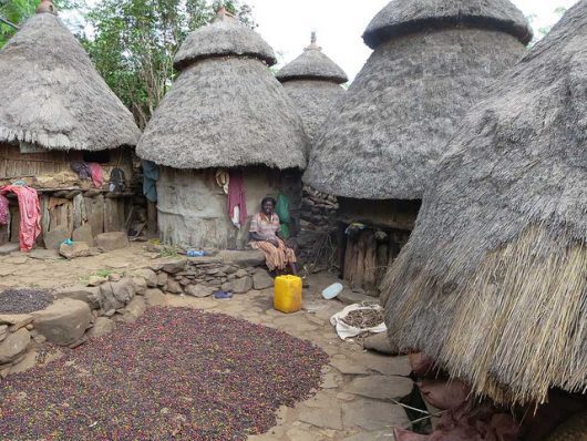 Coffee market in Ethiopia