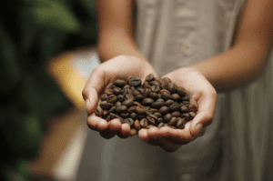 Coffee Production