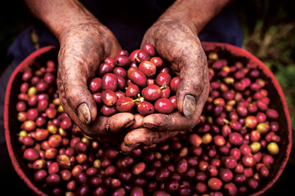 Coffee in Colombia