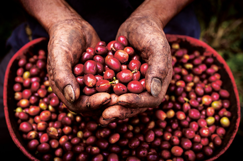 Coffee in Colombia