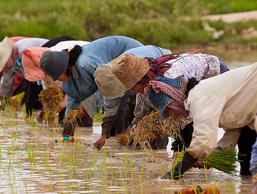 Colombian Small-holder Farmers Expand their Markets