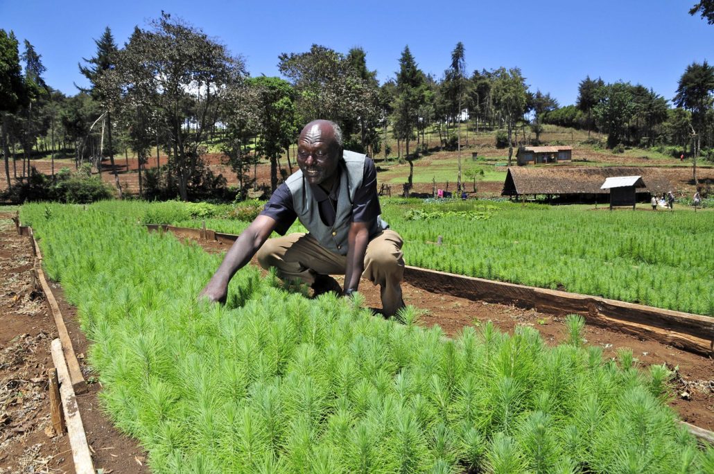 Common Agricultural Policy
