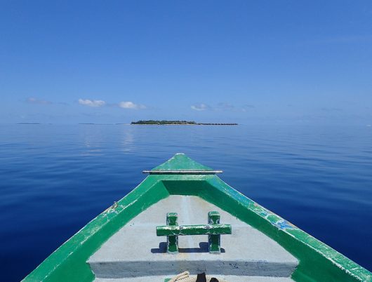 Common Diseases in Maldives