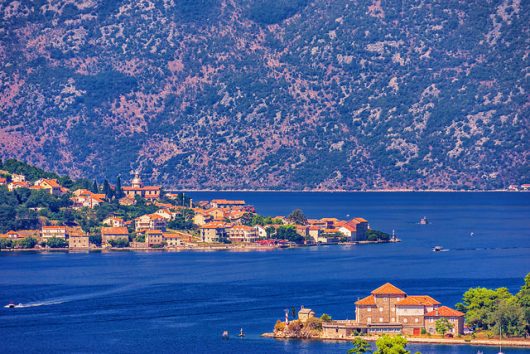 Common Diseases in Montenegro