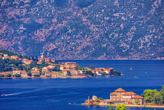 Common Diseases in Montenegro