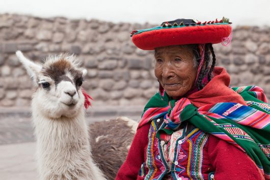 Common Diseases in Peru