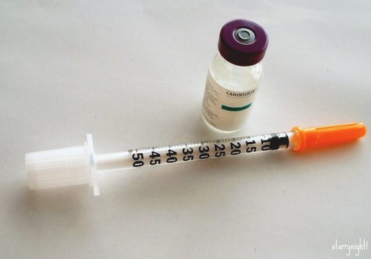 Common Diseases in Portugal