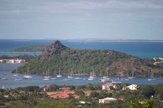 Common Diseases in Sint Maarten