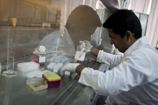 Common Diseases in Bangladesh