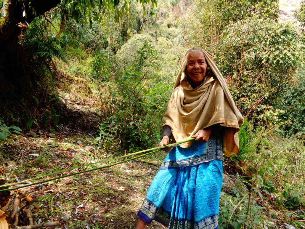 Community Forestry