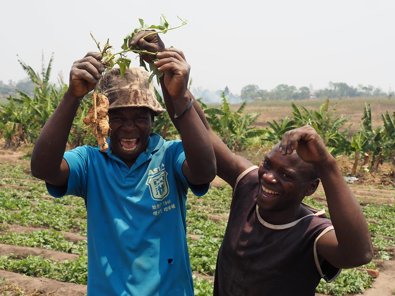 Concern Worldwide Takes Action in Malawi 