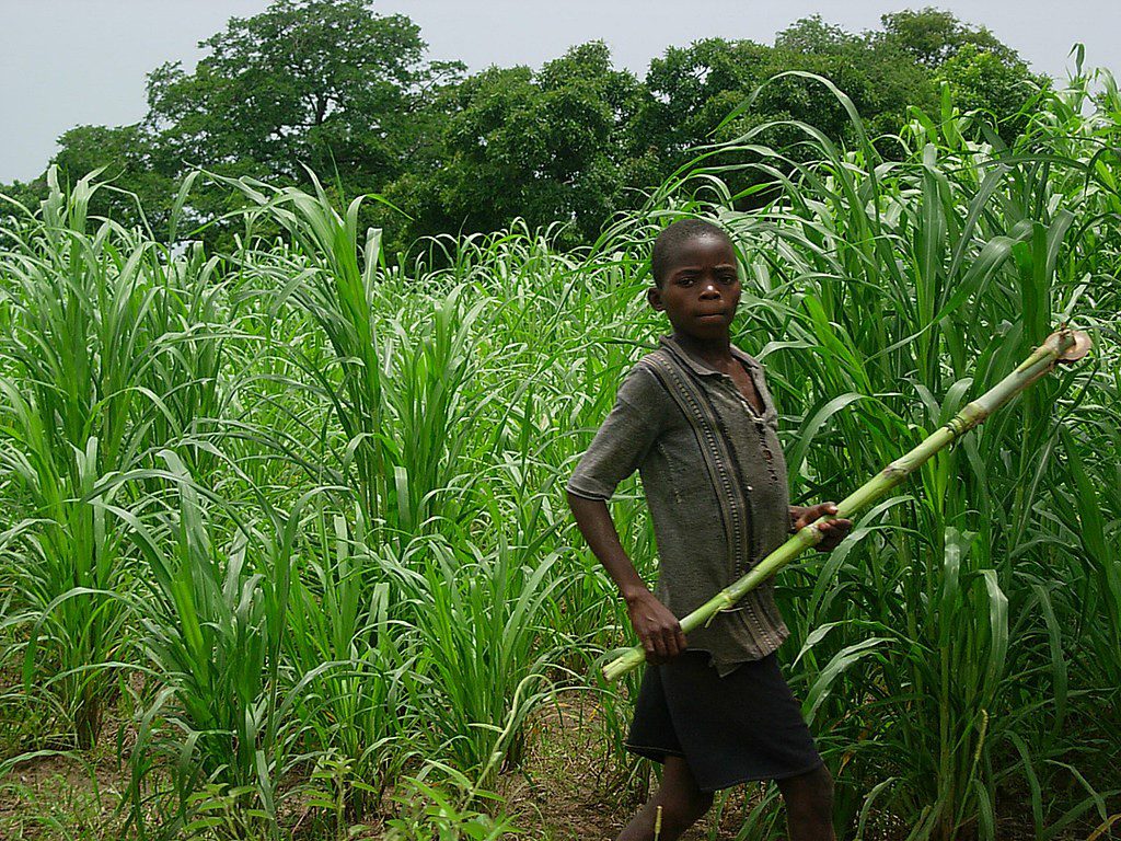 Conflict in Burkina Faso