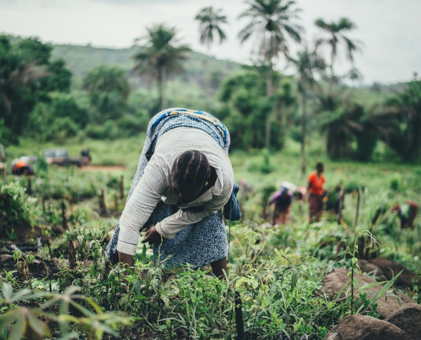 Poverty in West Africa