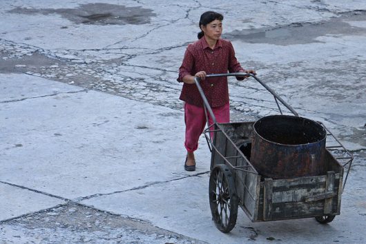 Cost of Living in North Korea
