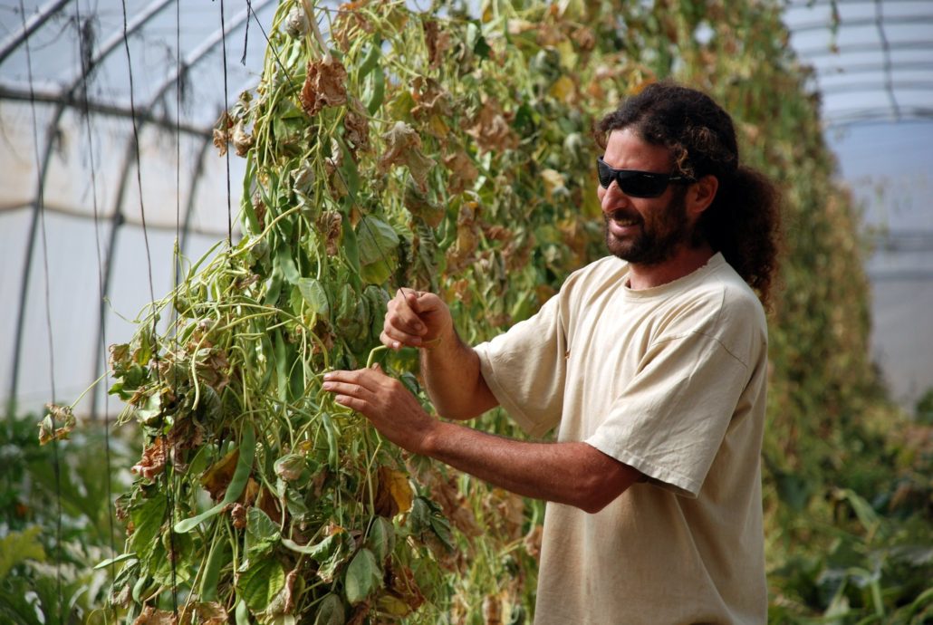 Covid-19 and Poverty in Israel