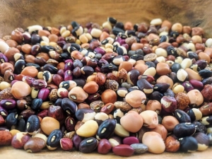 Food Insecurity in West Africa