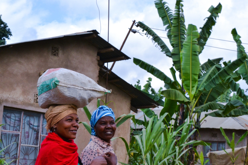 Credit Access in Cameroon