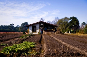 Decade of Family Farming