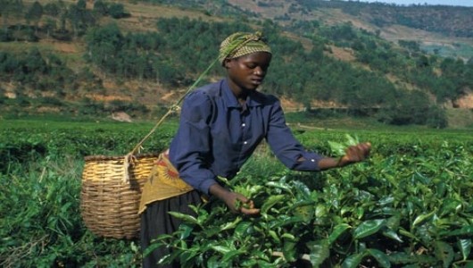 Improving Governments Decreases Poverty - Borgen Project