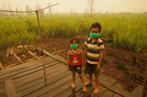 Deforestation in Indonesia