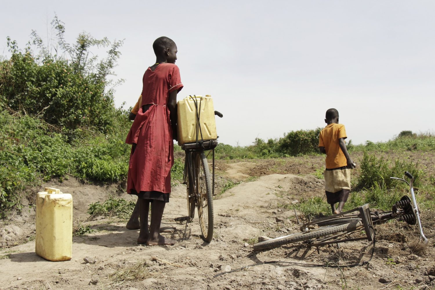 Deforestation-in-Uganda