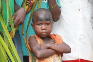 Deforestation in the Congo Basin