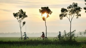 Dengue Fever in Indonesia