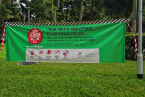 Dengue in Singapore