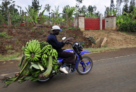 Development Impact Bonds for Investing in Poverty Reduction- BORGEN