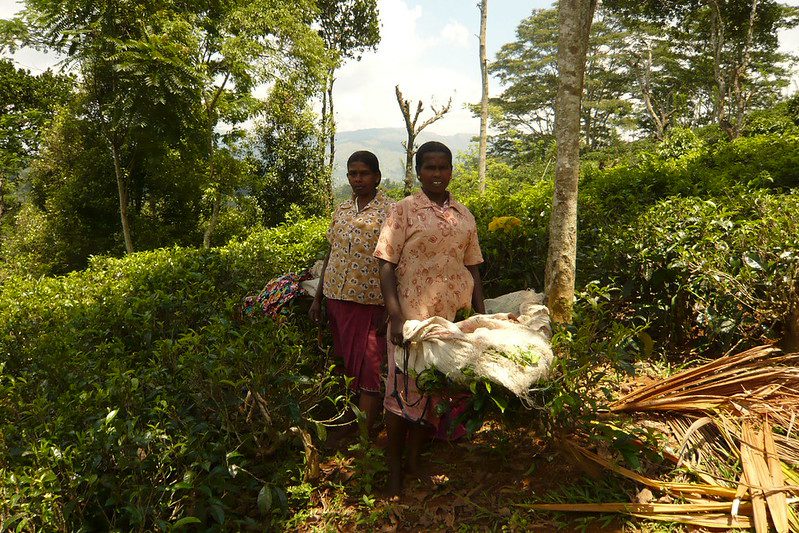 Reducing Poverty in India
