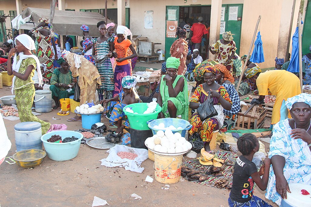 Disability and Poverty in The Gambia