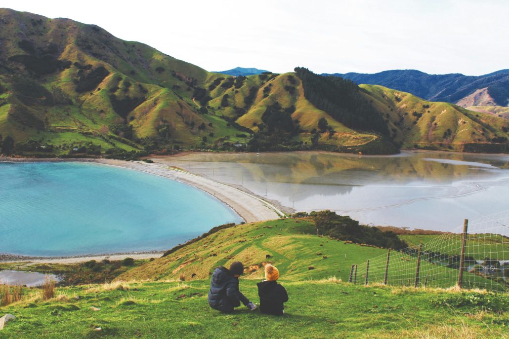Diseases Impacting New Zealand