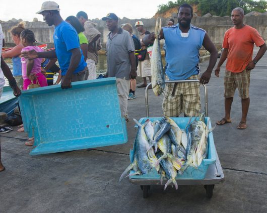 Dominica Poverty Rate