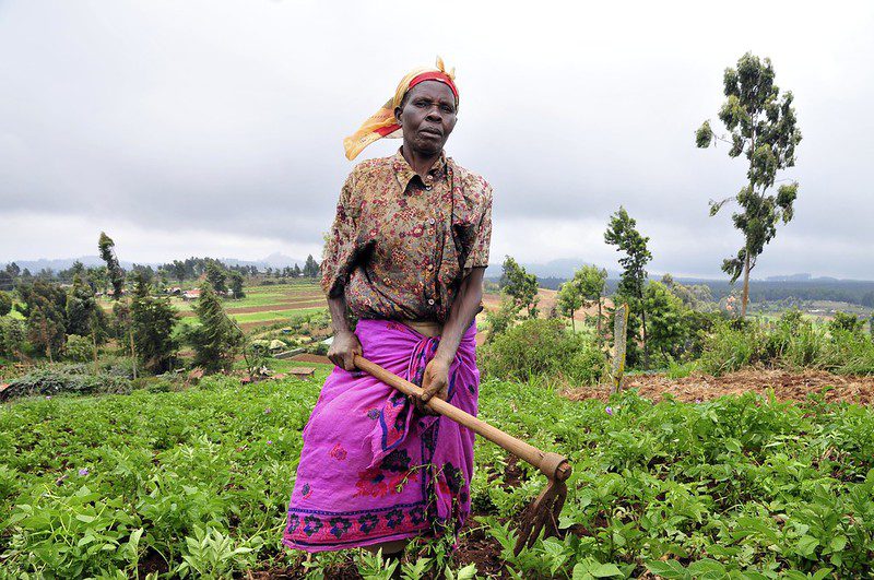 DreamSave: Women in Kenya Combat Poverty