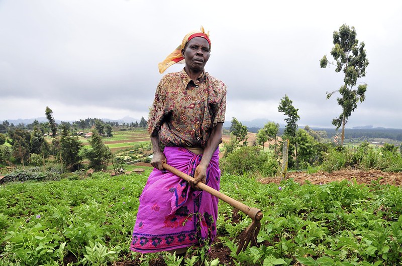 DreamSave: Women in Kenya Combat Poverty