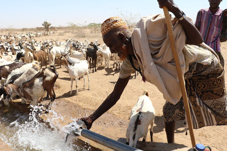 Drought in Africa