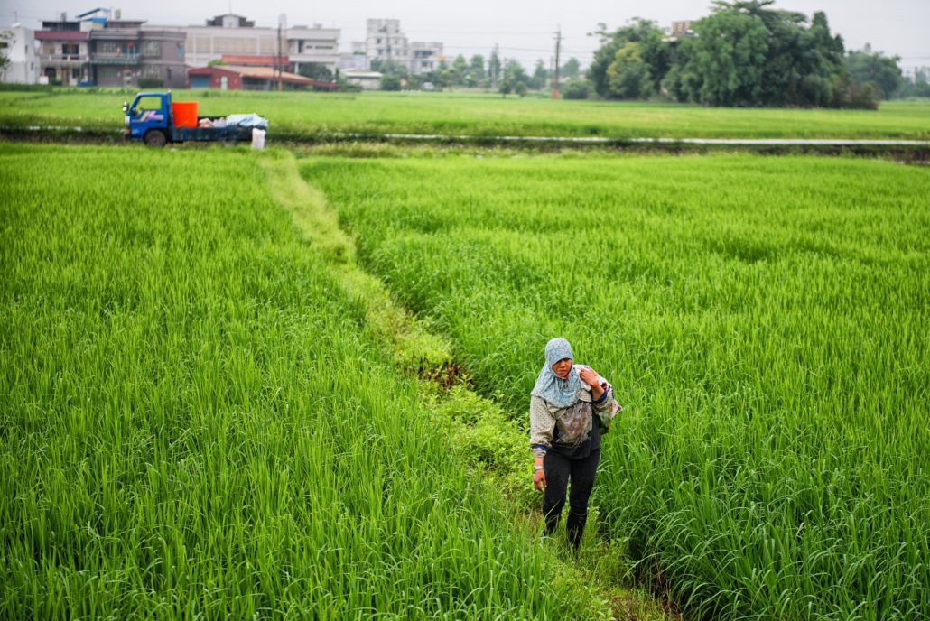 Drought in Taiwan