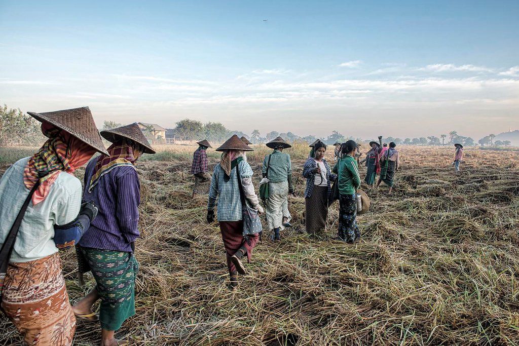 Drug Trade in Myanmar