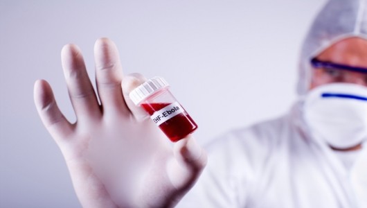 New Ebola Vaccine Kills Virus in Monkeys